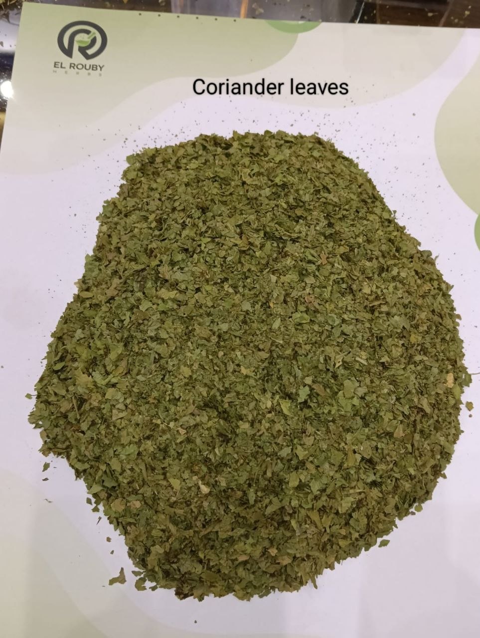 Coriander Leaves (Cilantro)