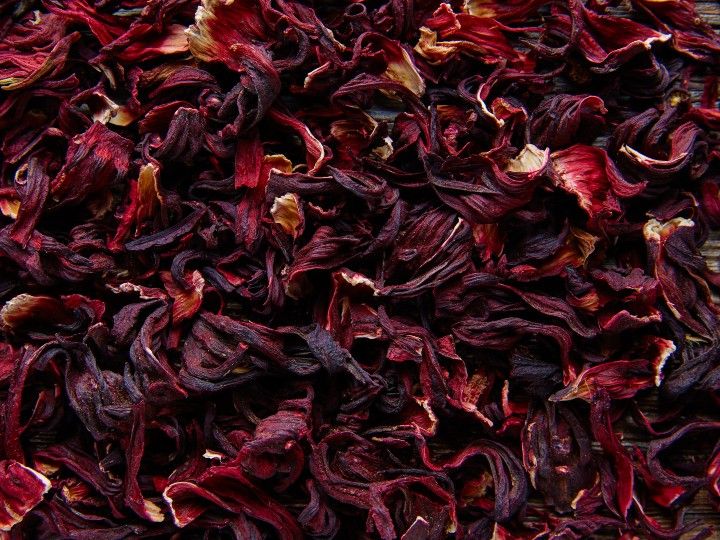 Hibiscus