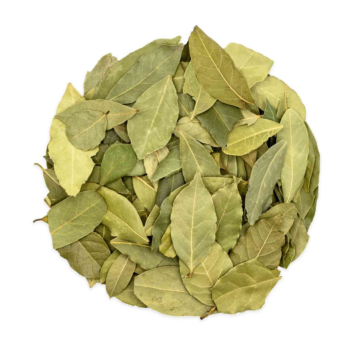 Laurel Leaves
