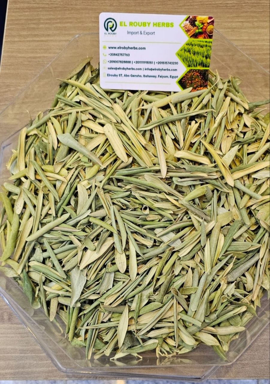 Olive Leaves