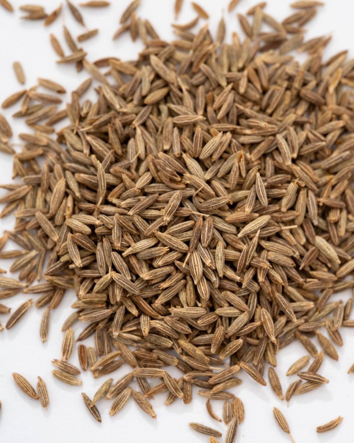 Caraway Seeds