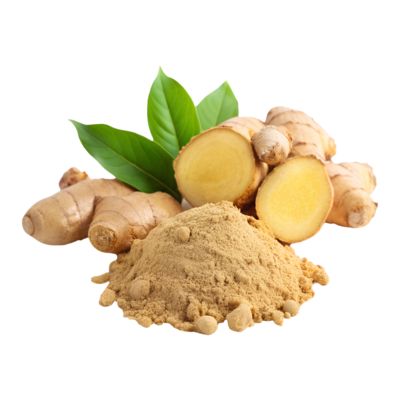 Ginger